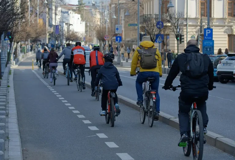 Groupe de cyclistes vus de dos sur une piste cyclable séparée, dont un en veste jaune, dans une avenue bordée d'arbres